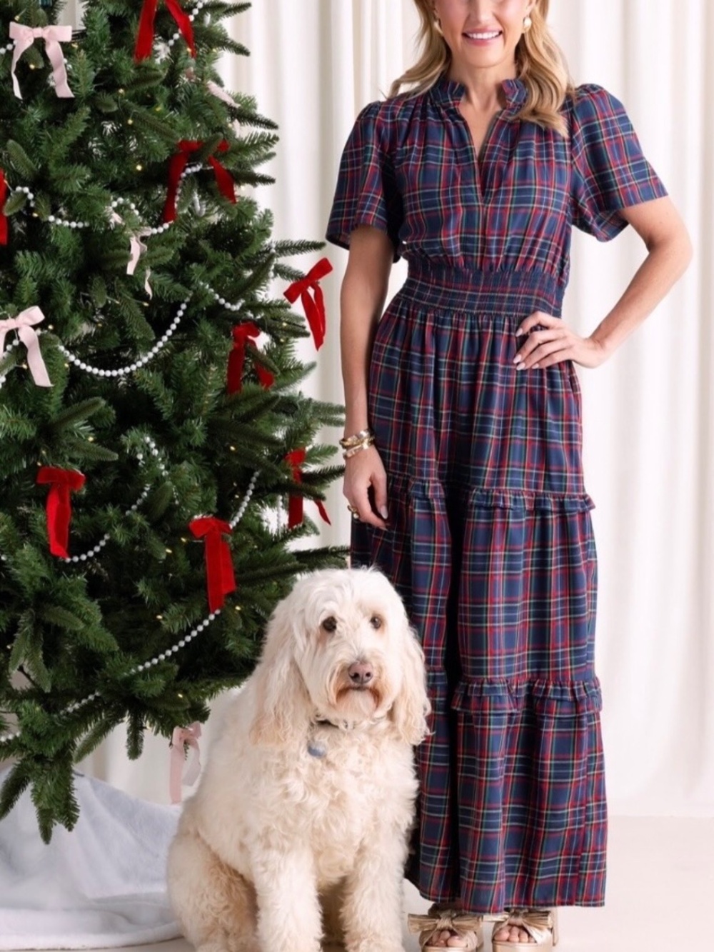 Plaid Delise Dress from Avara size small